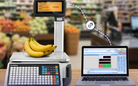 معرفی رادین